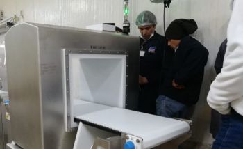 Calibración de Detectores de Metal